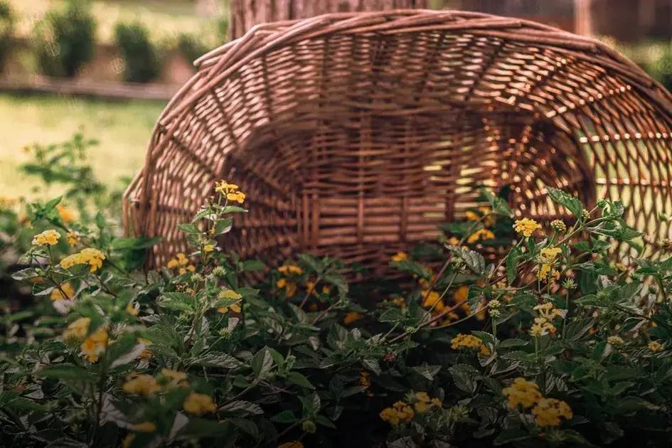 DIY Composting for Rich Soil and Fertilizer