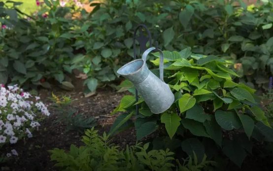 How to Start Composting at Home: A Beginner's Guide
